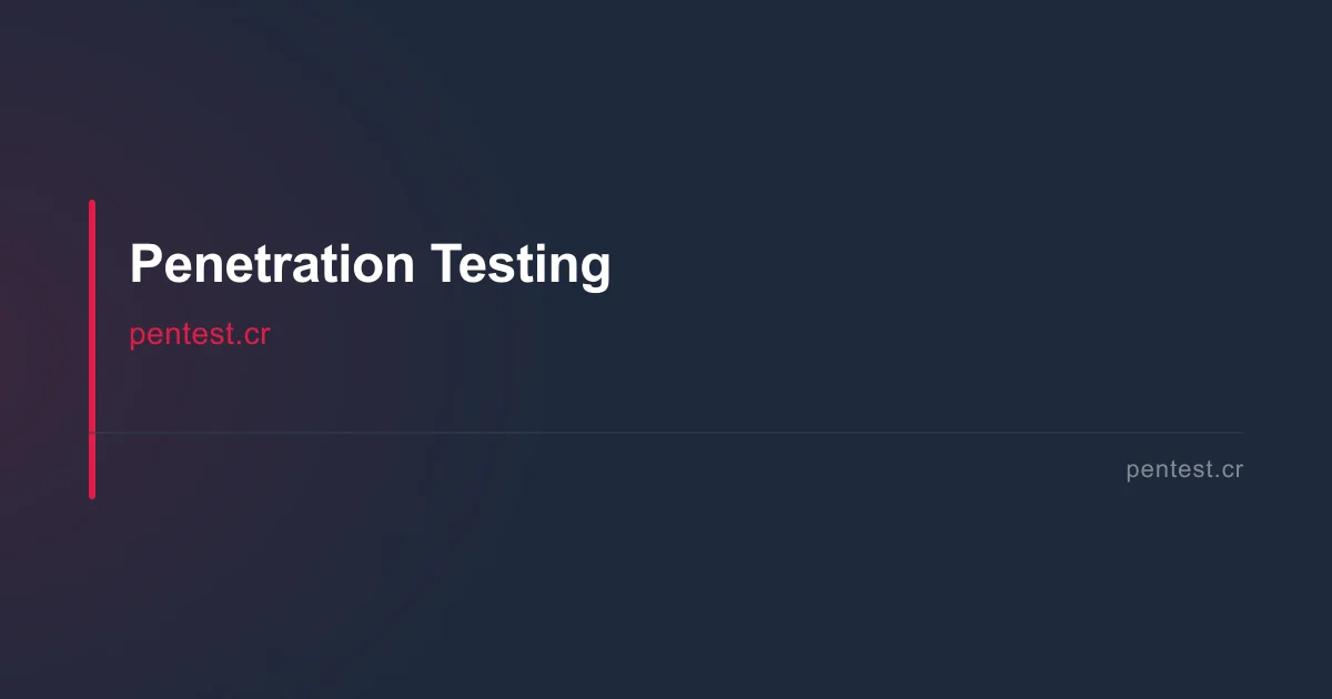 API Penetration Testing: Risks, Tools & Methodology Guide